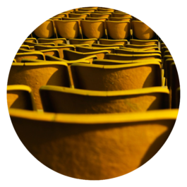 Mehrere Reihen von gelbe Sitzschalen von hinten fotografiert. Copyright Muhammad Osama.